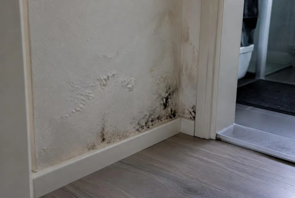 Lekdetectie Emst – vochtplek met schimmel op een muur